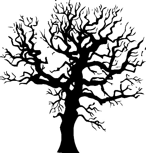 clip art line drawing of a tree - photo #24
