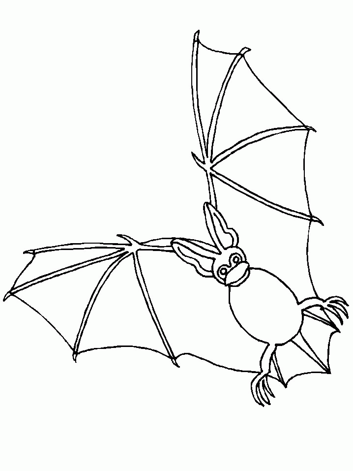 Coloring Page - Bat coloring pages 7