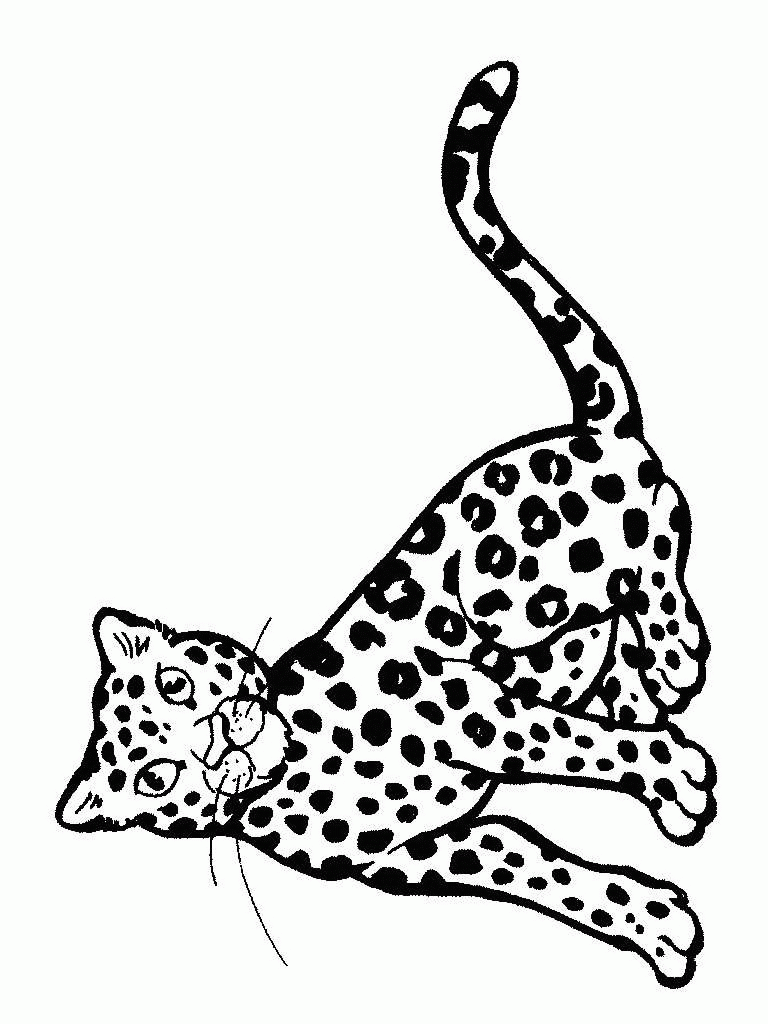 baby cheetah coloring pages - photo #21