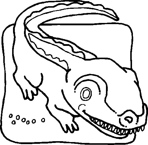 baby alligator coloring pages - photo #39