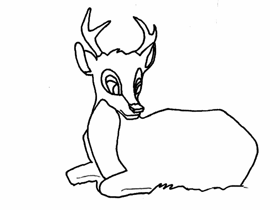 baby deer coloring pages - photo #32