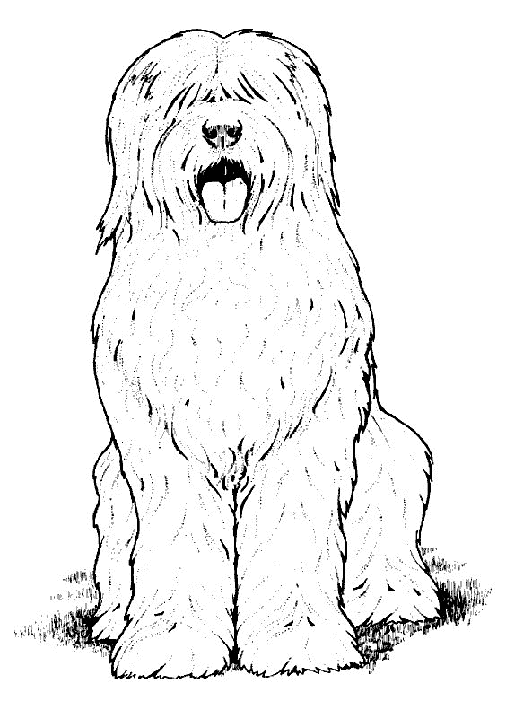 Coloring Page - Dog coloring pages 9