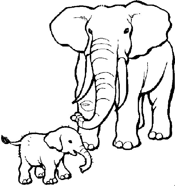elephant colouring picture