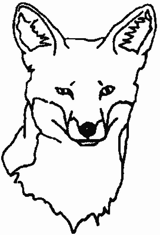 Coloring Page - Fox animals coloring pages 16
