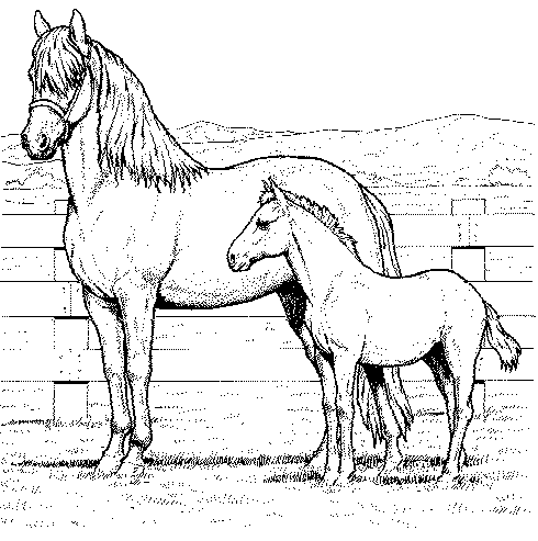Horse Coloring Pages on Horse Coloring Pages