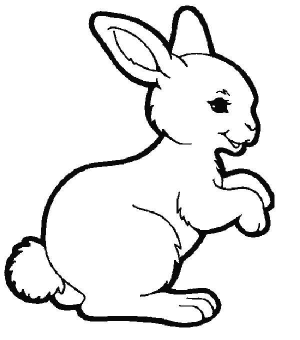 rabbit coloring pages to print - photo #9