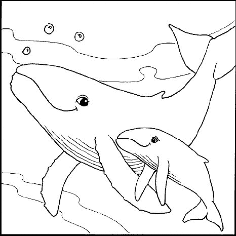 Animals Coloring Pages on Sea Animals Coloring Pages