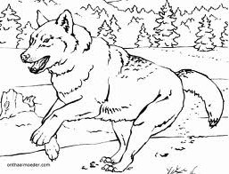 Wolf Coloring Pages on Wolves Animal Coloring Pages 7 Jpg