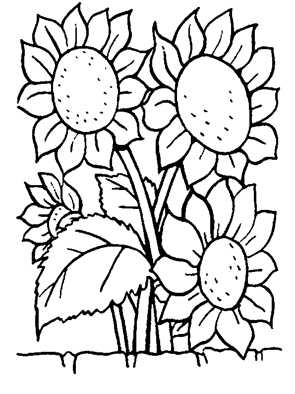 Coloring Page - Flowers coloring pages 30