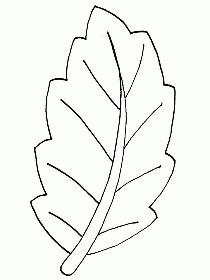 Leaf Coloring Image Coloring Page Leaf coloring pages 13