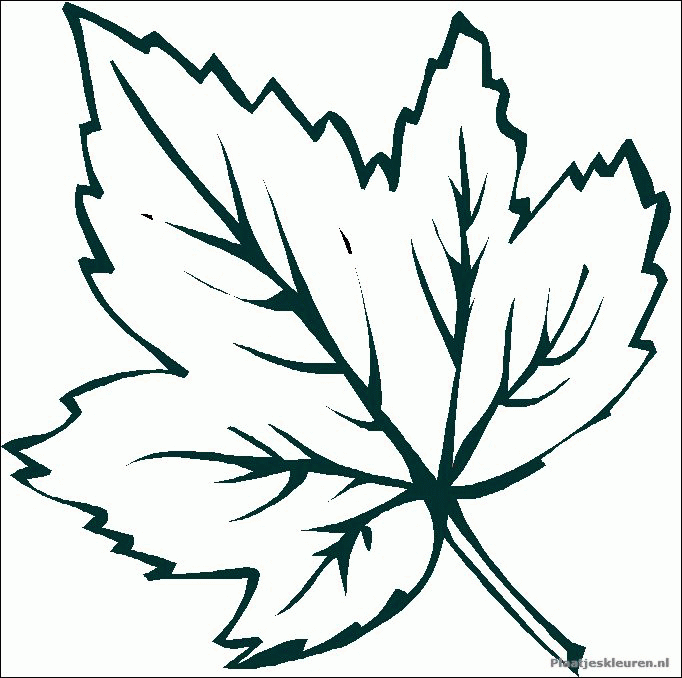 l for leaf coloring pages - photo #15