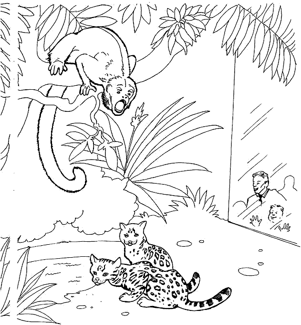 zoo coloring book pages - photo #19