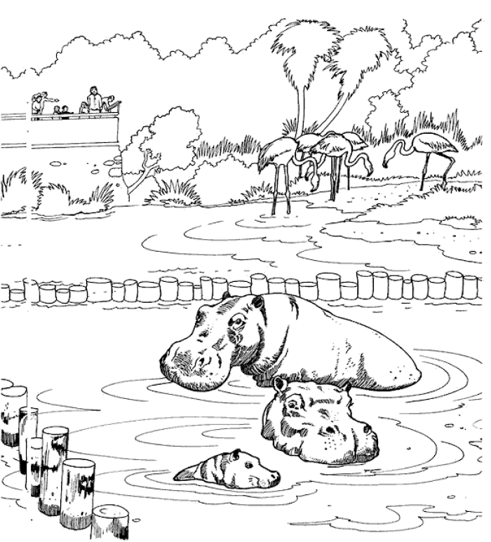zoo coloring pages online - photo #25