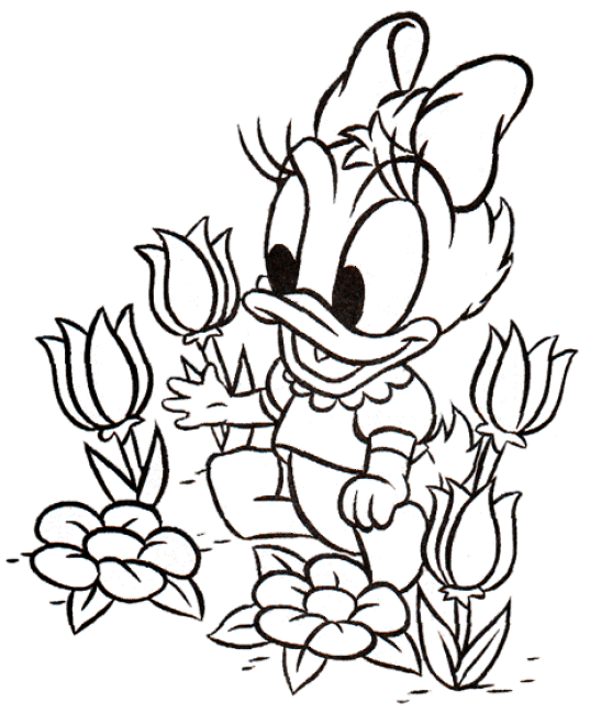 baby daisy duck coloring pages - photo #3