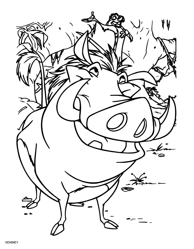 The lion king Coloring Pages
