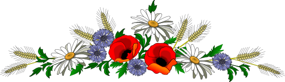 free flower divider clip art - photo #20