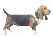dog-graphics-bassets-593471