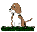 dog-graphics-beagles-162533