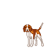 dog-graphics-beagles-877666