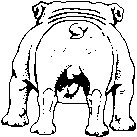 dog-graphics-bulldog-116540