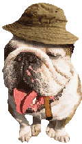 dog-graphics-bulldog-388779