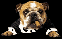 dog-graphics-bulldog-943122