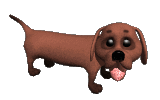 dog-graphics-dachshund-002241