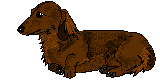 dog-graphics-dachshund-050478