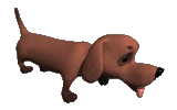 dog-graphics-dachshund-875573