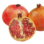 food-and-drinks-pomegranate-539463.gif