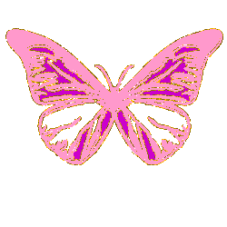 picgifs-butterfly-73