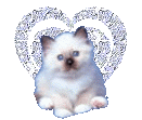 http://www.picgifs.com/glitter-graphics/glitter-graphics/cats/glitter-graphics-cats-575278.gif