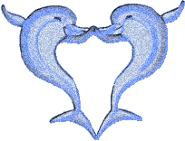Dolphins glitter graphics