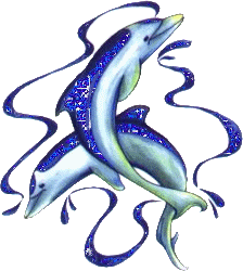 Dolphins glitter graphics