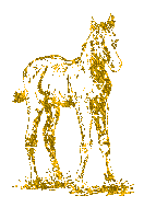 Horses glitter graphics