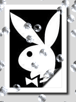 Playboy glitter graphics