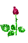 glitter-graphics-roses-457901.gif