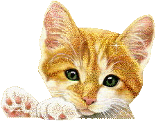 graphics-cats-957901