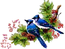 graphics-christmas-birds-815672