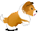 Dogs graphics