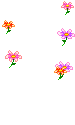 graphics-floaties-flowers-657084.gif