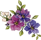 Flowers graphics