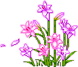  graphics-flowers-951