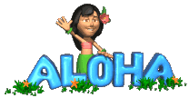 graphics-hawaii-970346
