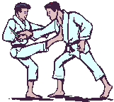 Graphics Â» Karate Graphics