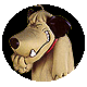 graphics-laughing-995500.gif