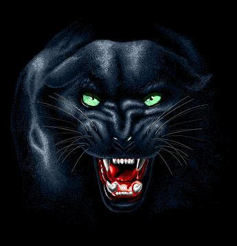 Panther Graphics