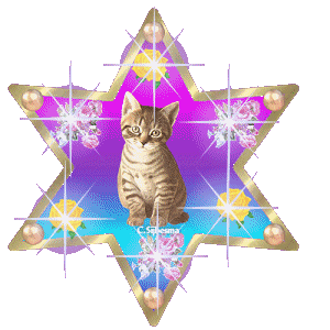 Image result for animated cat stars
