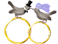 Wedding Rings Graphics | PicGifs.com