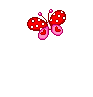 mini-graphics-butterflies-247201.gif